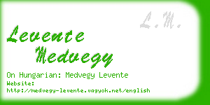 levente medvegy business card